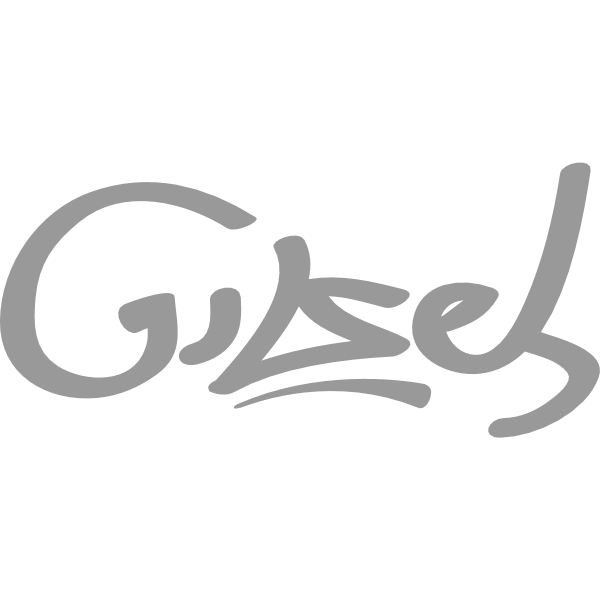 Gulzeb Logo