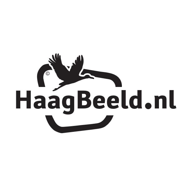 Haagbeeld Logo ,Logo , icon , SVG Haagbeeld Logo