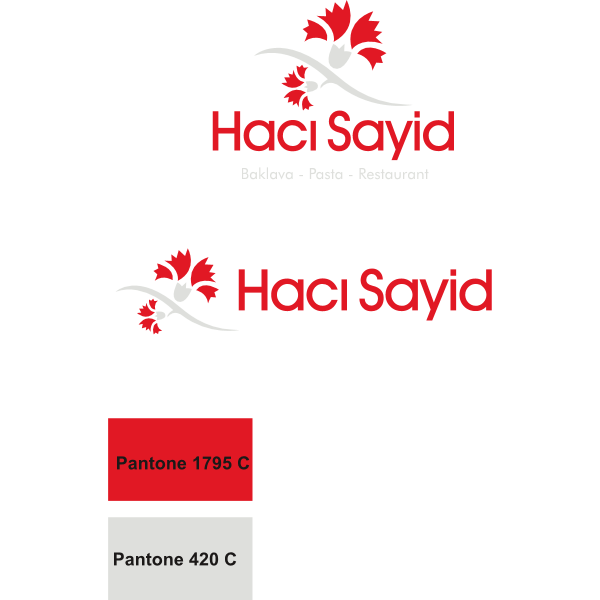 Hacı Sayid Logo