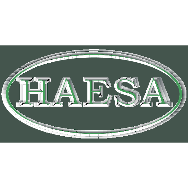 Haesa Comercial Logo ,Logo , icon , SVG Haesa Comercial Logo