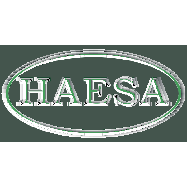 Haesa Comercial Logo