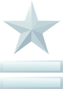 Halo 3 Medals – Captain Grade 3 Logo