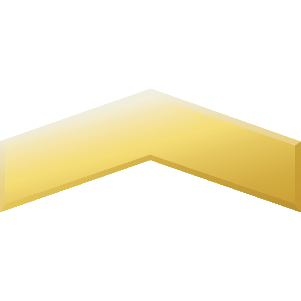 Halo 3 Medals – Private Logo ,Logo , icon , SVG Halo 3 Medals – Private Logo