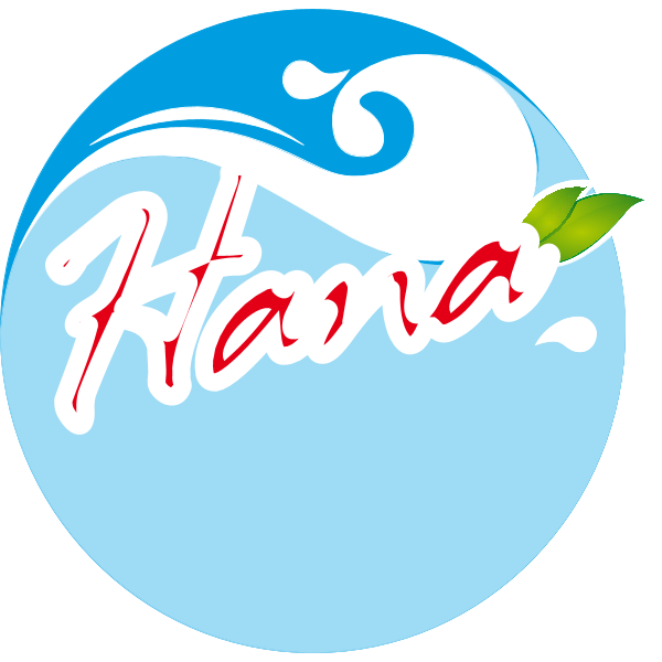HANA Logo