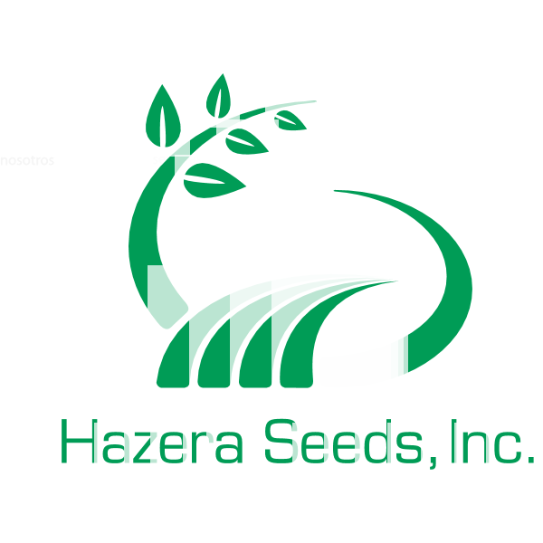 hazera Logo