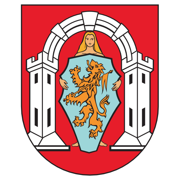 HNK Vukovar 91 Logo