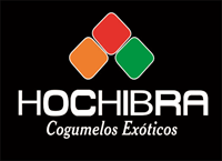 Hochibra Logo