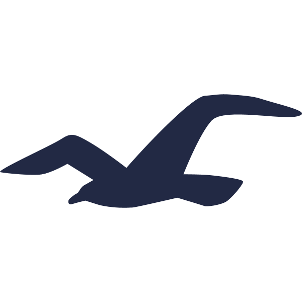 Hollister Seagul Icon ,Logo , icon , SVG Hollister Seagul Icon
