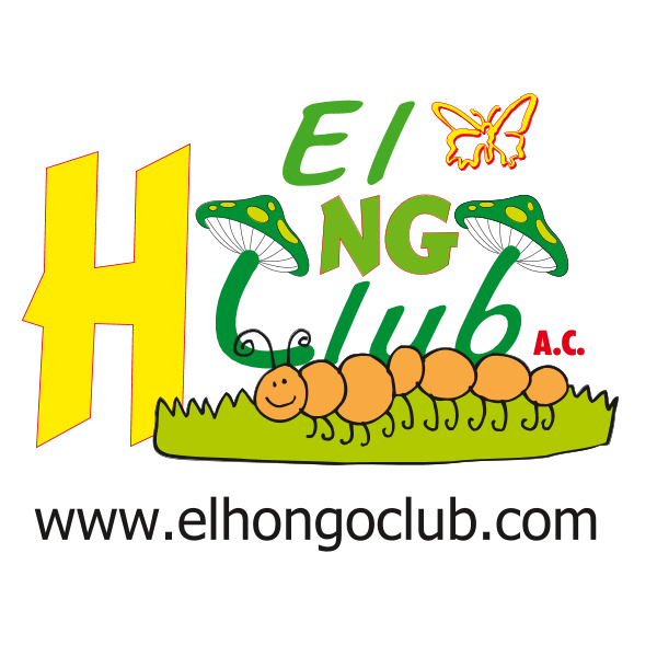 Hongo Club Logo ,Logo , icon , SVG Hongo Club Logo