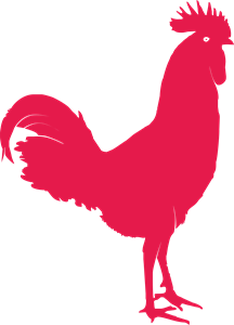 horoz rooster Logo