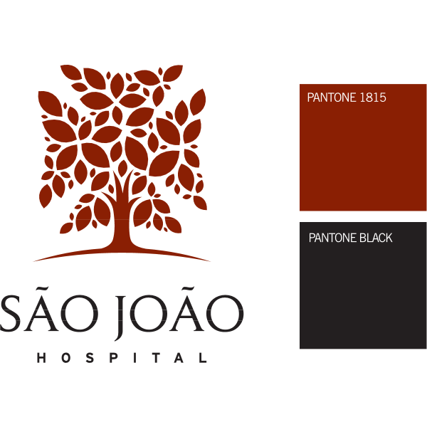 Hospital de São João Logo ,Logo , icon , SVG Hospital de São João Logo
