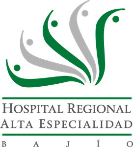 Hospital Regional de Alta Especialidad Bajío HRAEB Logo ,Logo , icon , SVG Hospital Regional de Alta Especialidad Bajío HRAEB Logo