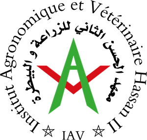 IAV – Maroc Logo ,Logo , icon , SVG IAV – Maroc Logo