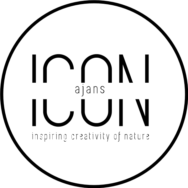 Icon Agency