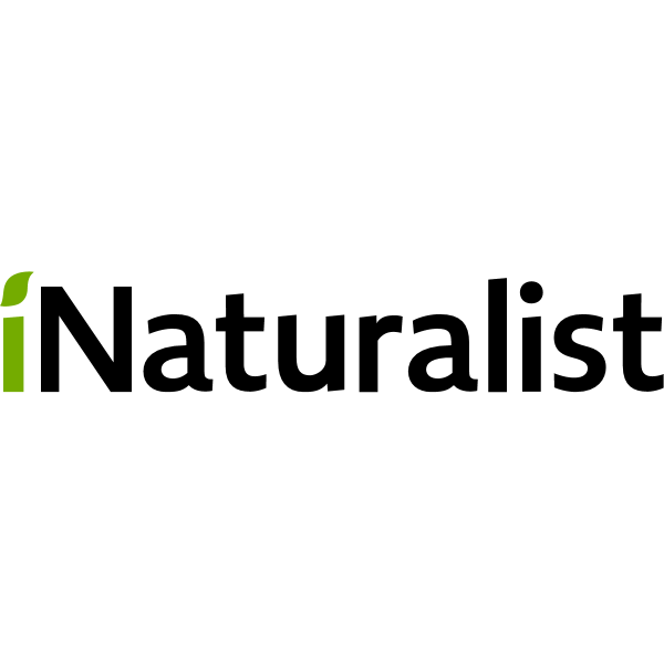 INaturalist text logo