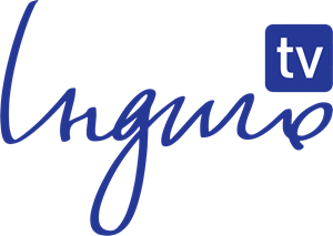 Indigo TV Logo