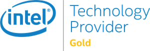 Intel Technology Provider Gold Logo ,Logo , icon , SVG Intel Technology Provider Gold Logo