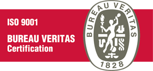 ISO 9001 Bureau Veritas Logo ,Logo , icon , SVG ISO 9001 Bureau Veritas Logo