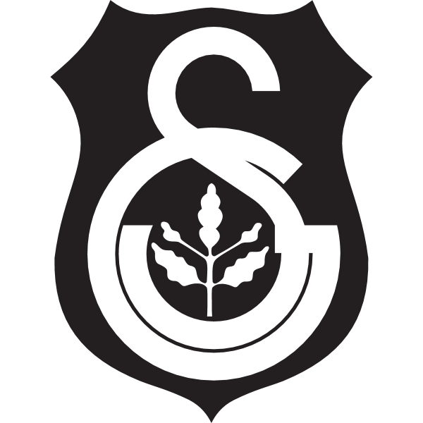 Istanbul United Logo ,Logo , icon , SVG Istanbul United Logo