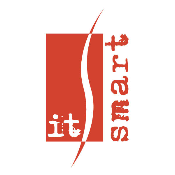 IT Smart Logo