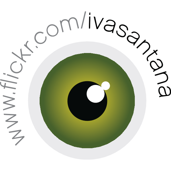 Iva Santana Logo ,Logo , icon , SVG Iva Santana Logo