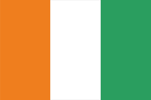 Ivory Coast flag Logo