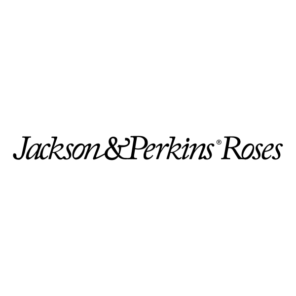 Jackson & Perkins Roses