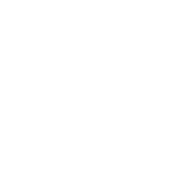 Jaybird Logo Lt