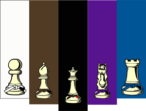 Jiu Jitsu Chess Logo