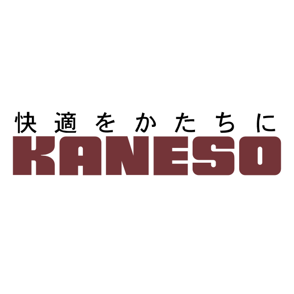 Kaneso