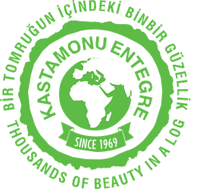 Kastamonu Entegre Logo