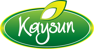 Kaysun Logo ,Logo , icon , SVG Kaysun Logo