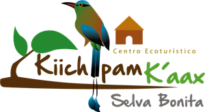 Kiich Pam Kaax Logo ,Logo , icon , SVG Kiich Pam Kaax Logo