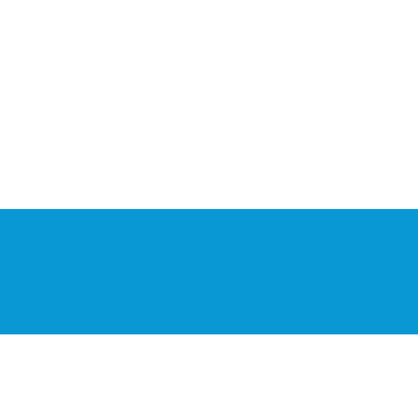 KINGDOM OF BAVARIA FLAG Logo