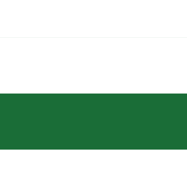 KINGDOM OF SAXONY FLAG Logo