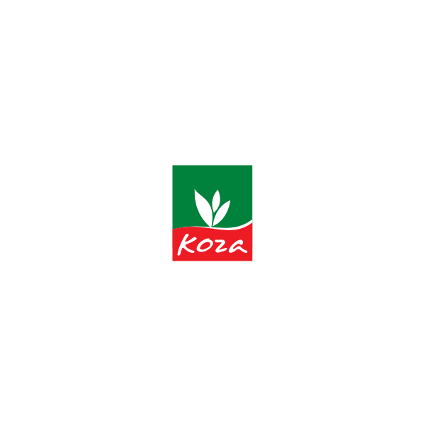 koza import-export Logo