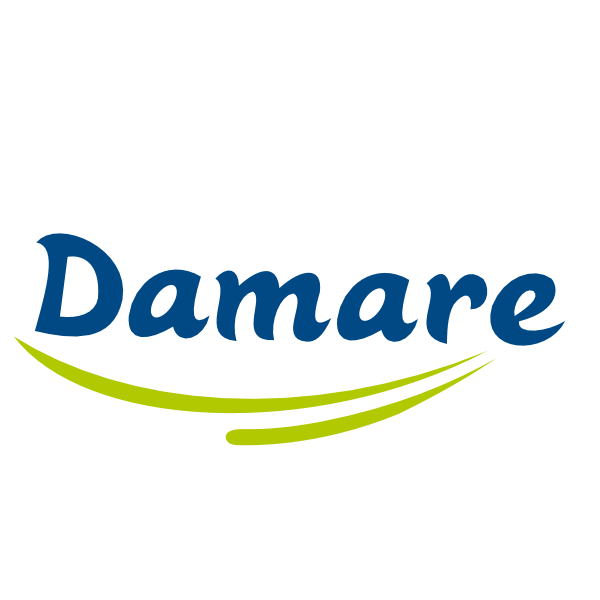 Laticínios Damare Logo ,Logo , icon , SVG Laticínios Damare Logo