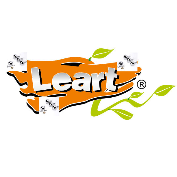 Leart Logo