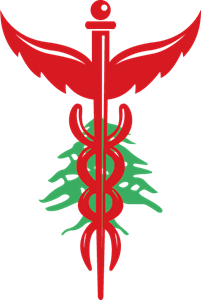 Lebanese Physiotherapist Logo