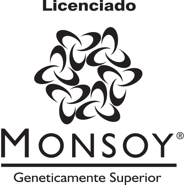Licenciado Monsoy Logo