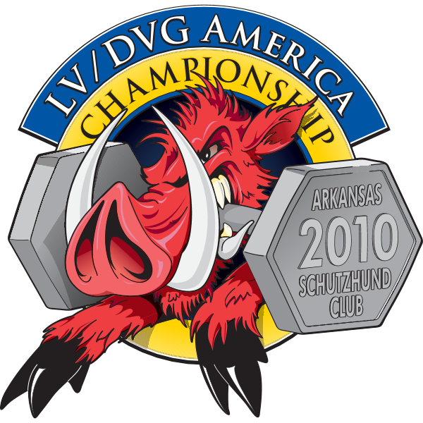 LV-DVG America 2010 Championship Logo