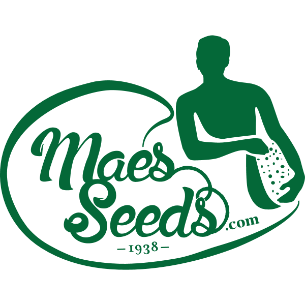 Maes Seeds Logo