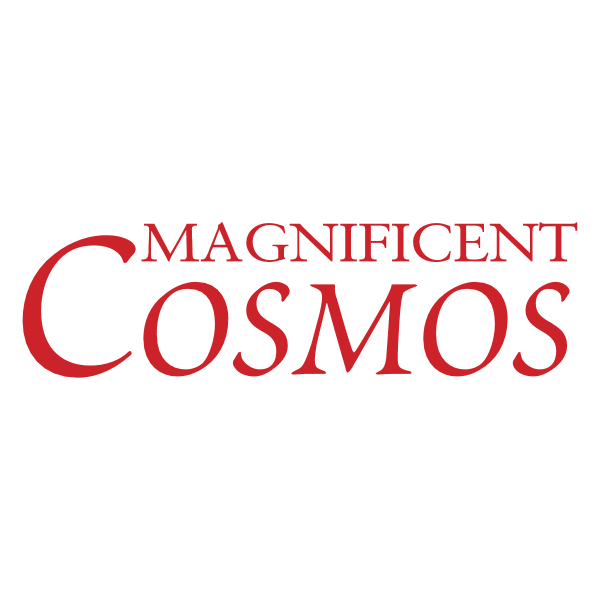 Magnificent Cosmos