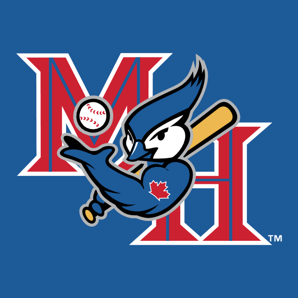 Medicine Hat Blue Jays