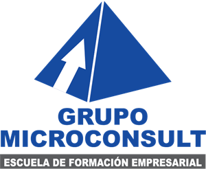 Microconsult Peru Logo