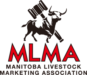 MLMA Logo
