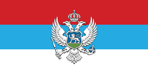 Montenegro Flag (Crna Gora) Logo
