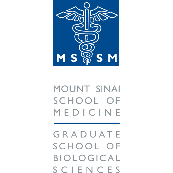 Mount Sinai School of Medicine Logo ,Logo , icon , SVG Mount Sinai School of Medicine Logo