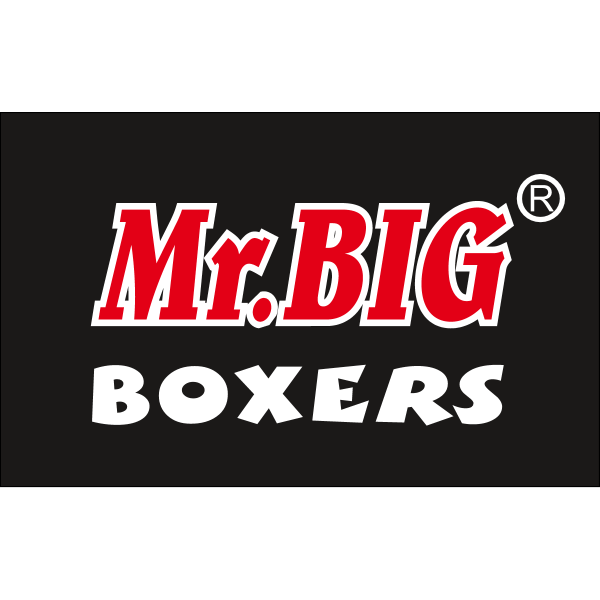 Mr.BIG Logo