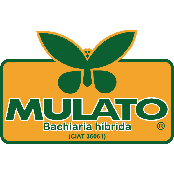 Mulato Logo ,Logo , icon , SVG Mulato Logo
